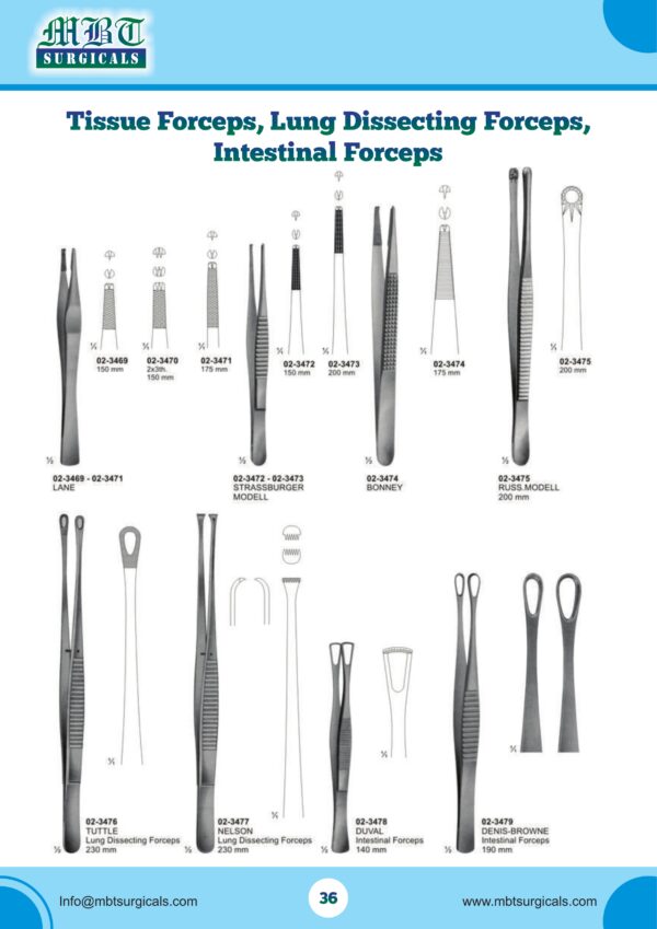 TUTTLE Lung Dissecting Forceps – 230mm | Surgical Precision Tool