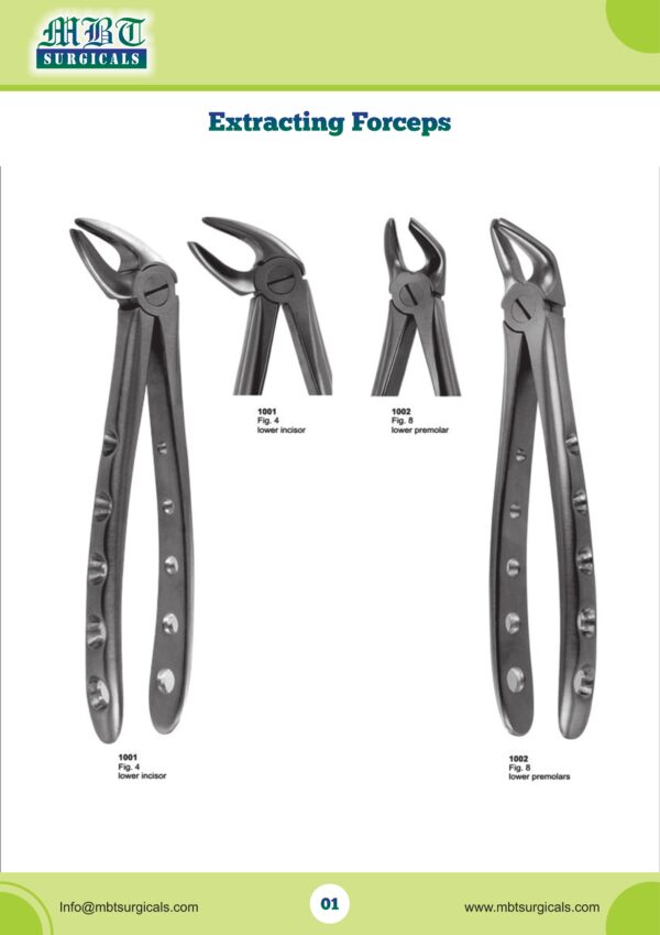 Premium Extracting Forceps for Lower Incisors & Premolars