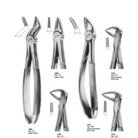 Upper Roots Forceps – Surgical Precision Tool | MBT Surgicals