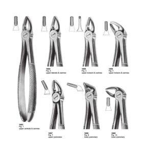 Versatile Extracting Forceps for Dental Surgery – Upper & Lower Teeth