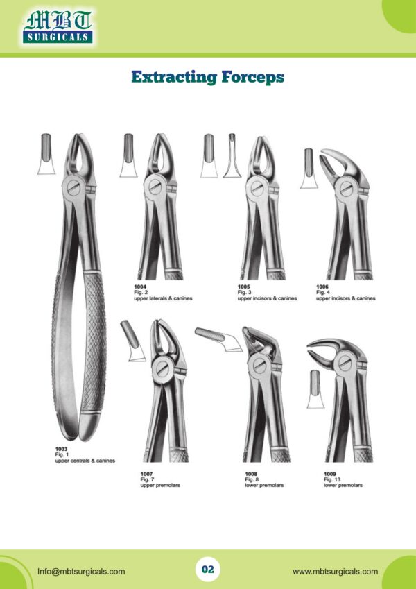 Versatile Extracting Forceps for Dental Surgery – Upper & Lower Teeth