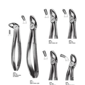 Comprehensive Molar Extracting Forceps Set – Upper & Lower | MBT Surgicals