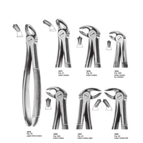 Professional Lower Molar Extracting Forceps Set – Full Range | MBT Surgicals