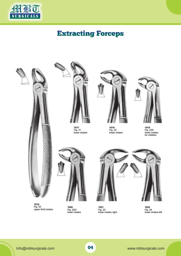Professional Lower Molar Extracting Forceps Set – Full Range | MBT Surgicals