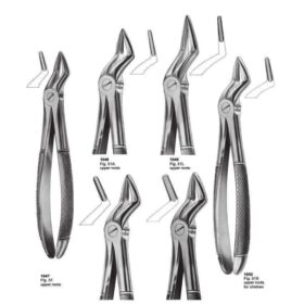 Upper Root Extracting Forceps Set – Surgical Dental Tools