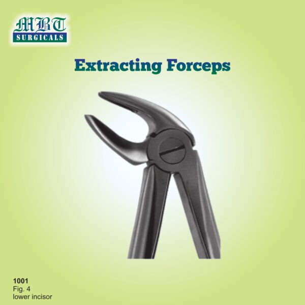 extracting forceps lower incisor