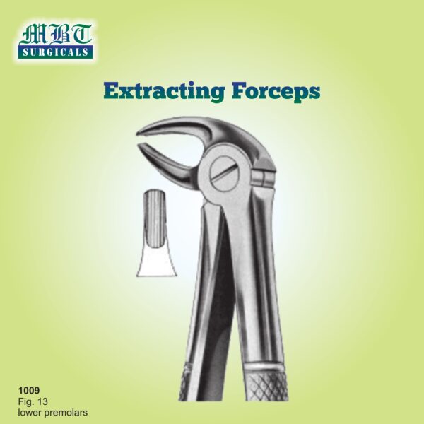 Fig 13 Lower Premolar Forceps – High-Grip Extracting Tool