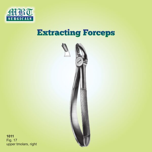 Upper Molar Forceps – Precision Tool for Right-Side Extractions