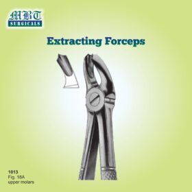 Upper Molar Forceps – Powerful Extraction Tool for Dental Professionals
