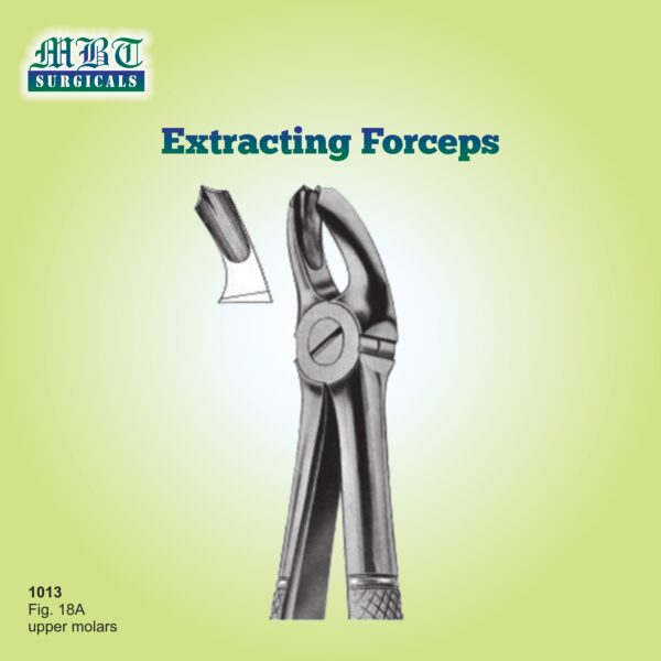 Upper Molar Forceps – Powerful Extraction Tool for Dental Professionals