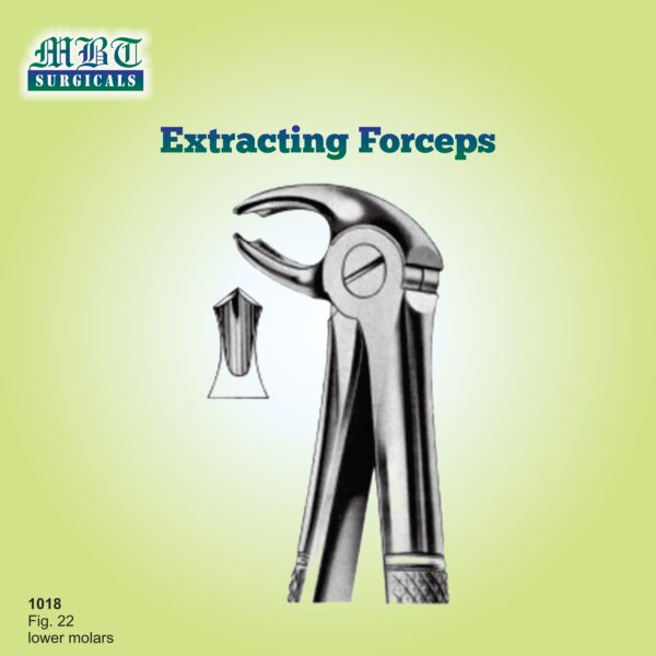 Durable Extracting Forceps Fig 22 – Lower Molars