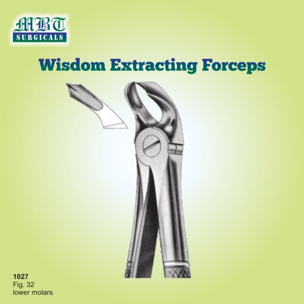 Premium Extracting Forceps Fig 32 – Lower Molar Precision Tool