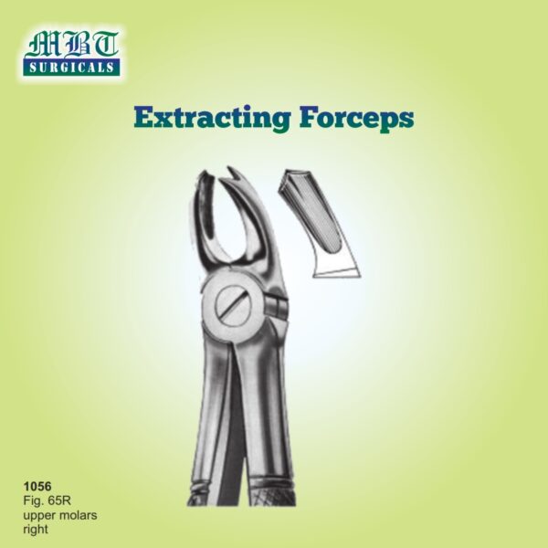 Premium Extracting Forceps Fig 65R – Right Upper Molars Tool