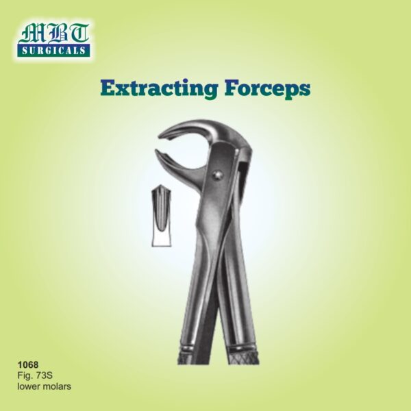 Efficient Extracting Forceps Fig 73S – Premium Lower Molar Forceps