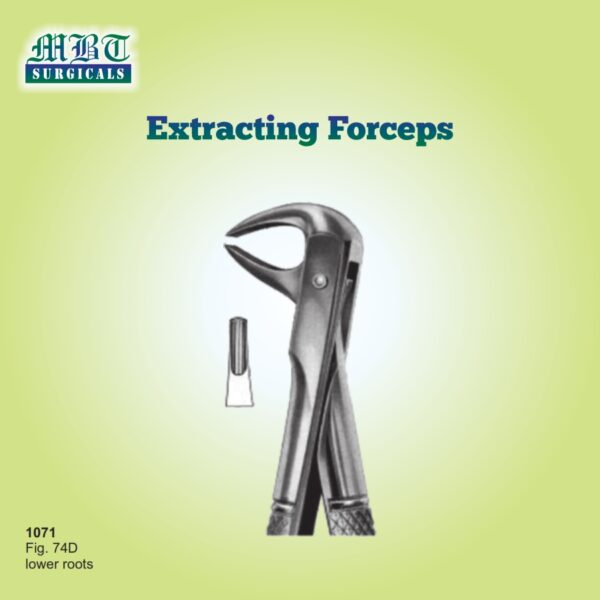 Premium Extracting Forceps Fig 74D – Reliable Tool for Lower Root Removal