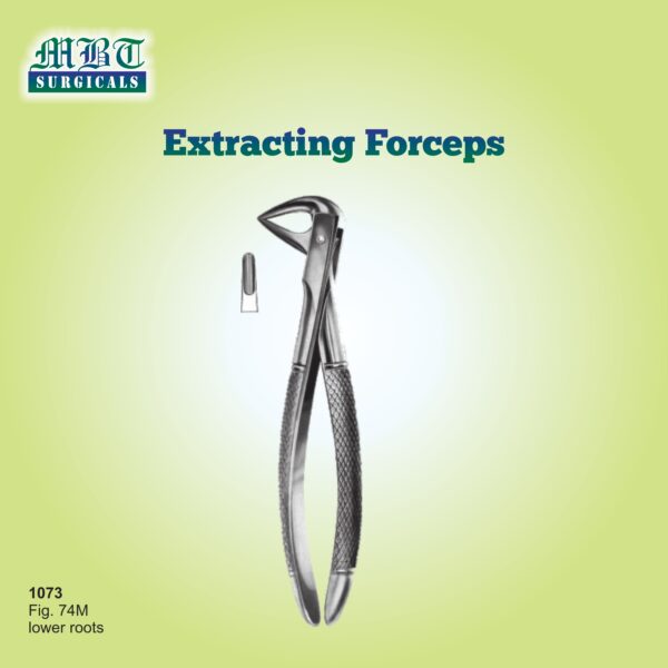 Extracting Forceps for Lower Roots – Durable Fig. 74M by MBT Surgicals