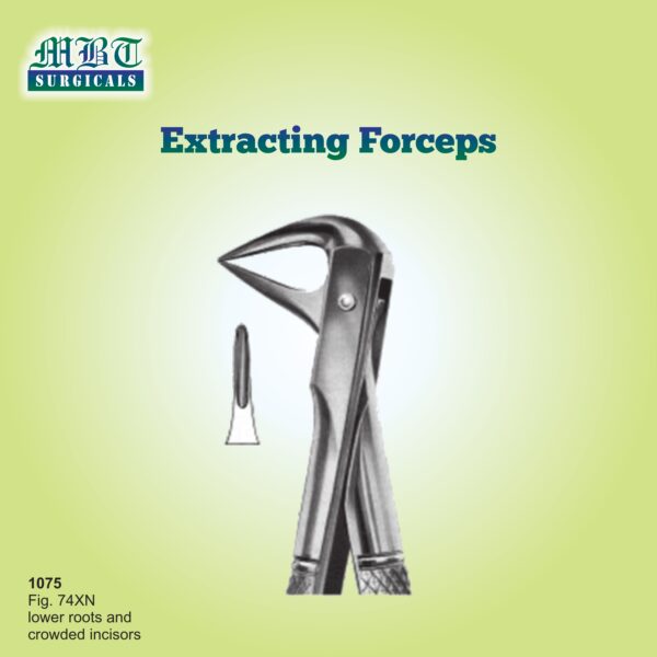 Extracting Forceps for Lower Roots & Crowded Incisors – Fig. 74XN by MBT Surgicals