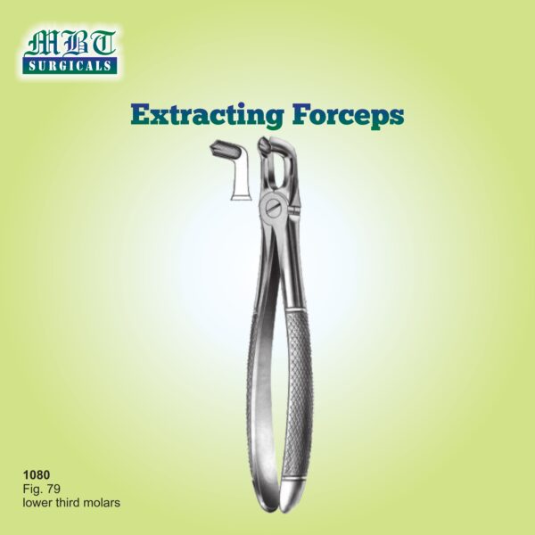 Extracting Forceps for Lower Third Molars – Fig. 79 by MBT Surgicals
