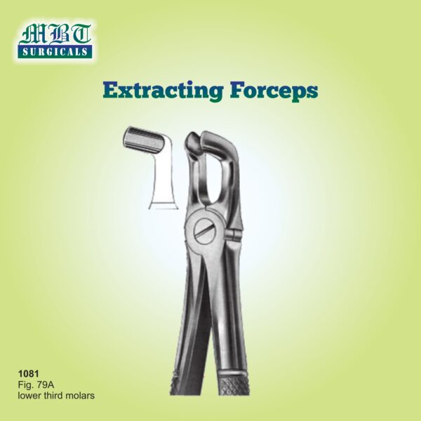 Extracting Forceps for Lower Third Molars – Fig. 79A by MBT Surgicals