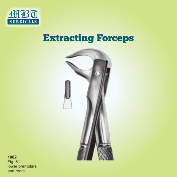 Extracting Forceps for Lower Premolars – Fig. 81 by MBT Surgicals