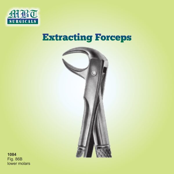 Extracting Forceps for Lower Molars – Fig. 86B by MBT Surgicals