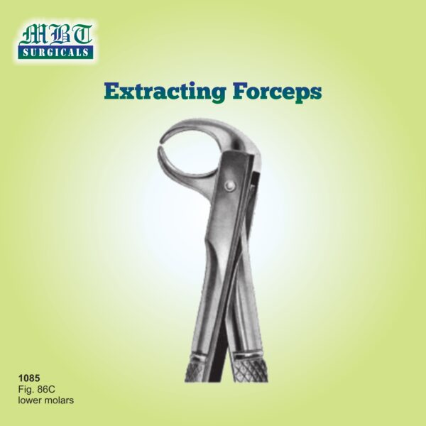Extracting Forceps for Lower Molars – Fig. 86C by MBT Surgicals