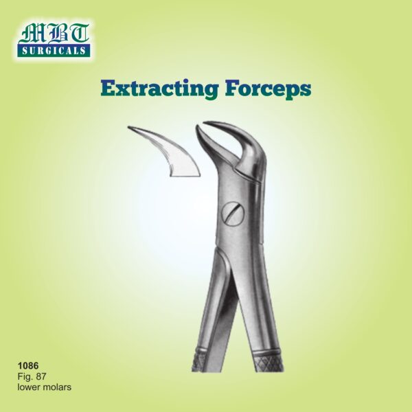 Extracting Forceps for Lower Molars – Fig. 87 by MBT Surgicals