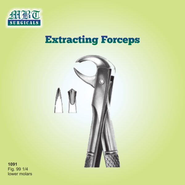 Extracting Forceps for Lower Molars – Fig. 99 1/4 by MBT Surgicals