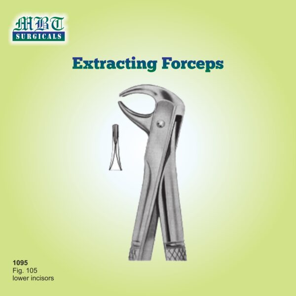 Extracting Forceps for Lower Incisors – Fig. 105 by MBT Surgicals