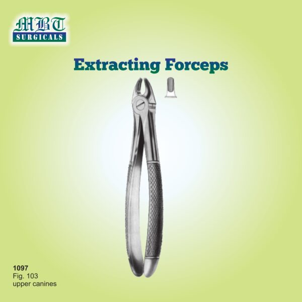 Extracting Forceps for Upper Canines – Fig. 103 by MBT Surgicals